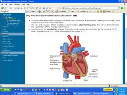 Online Medical Terminology Screenshot